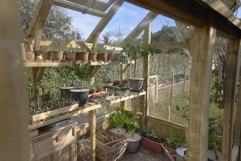 Forest Garden Vale Greenhouse